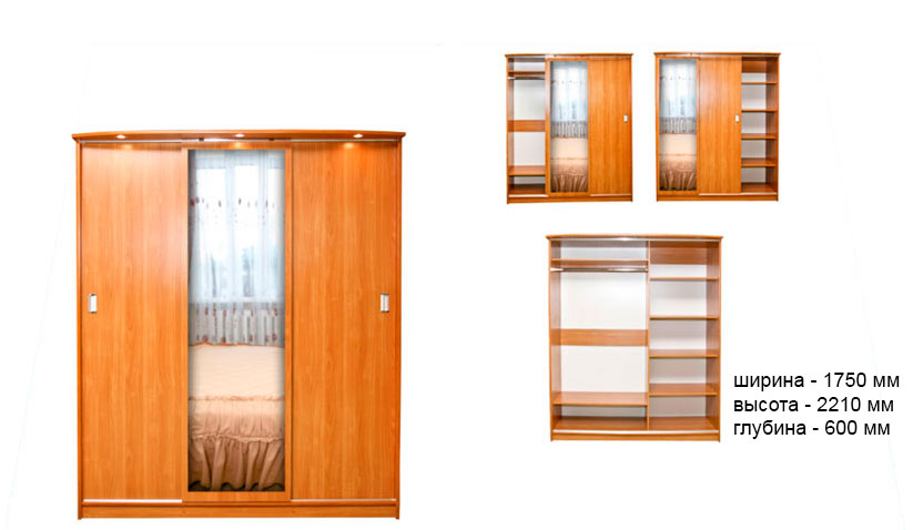 Шкаф купе 3-хдверный СШ-010.09(-01)
