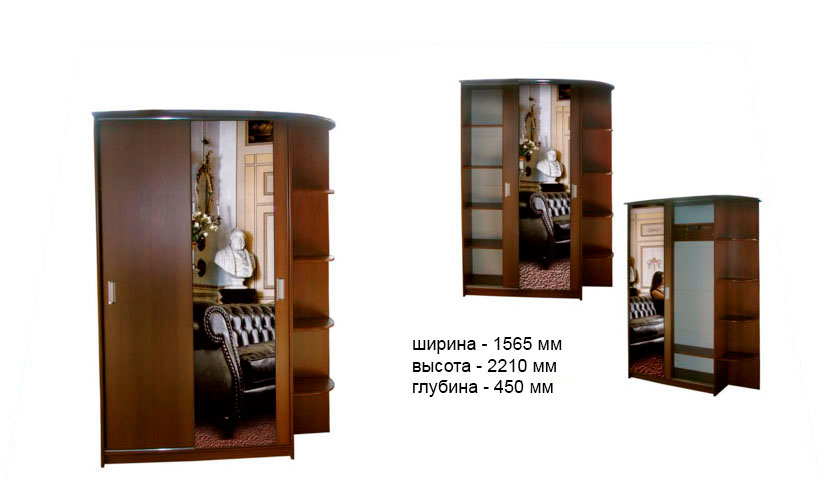 Шкаф купе 2-хдверный СШ-010.03(-01)